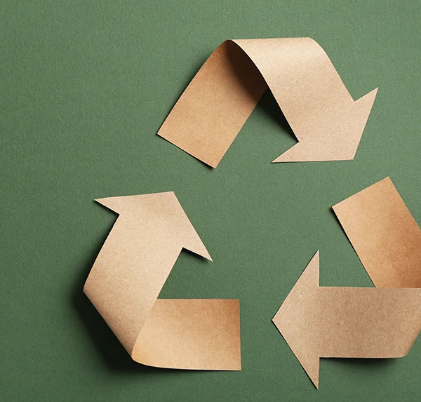 green konzeptgreen layoutgreen offline + online   