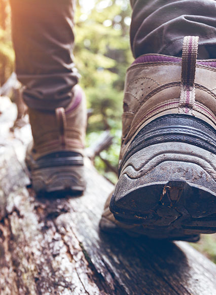 Fokus auf Nachhaltigkeit